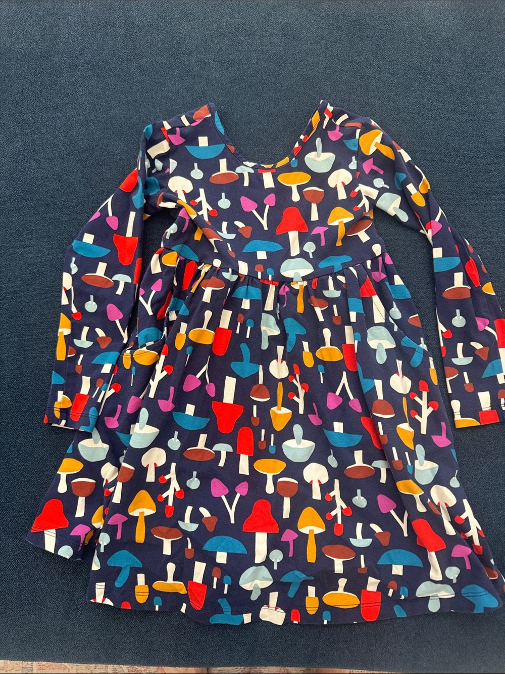 Hanna Andersson Navy Mushroom Print Long Sleeve Dress